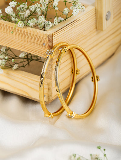 Myra Bangles (Set of 2)